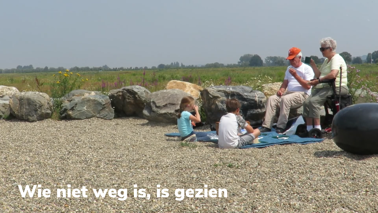 Wie niet weg is is gezien